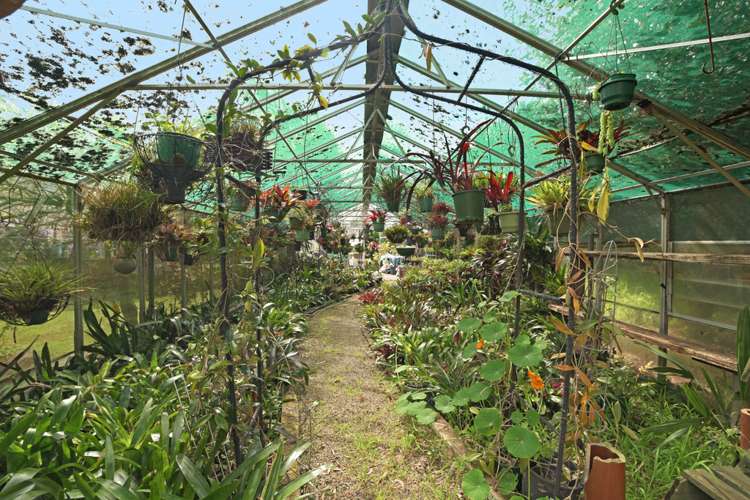 11 Linley Terrace Judea_20