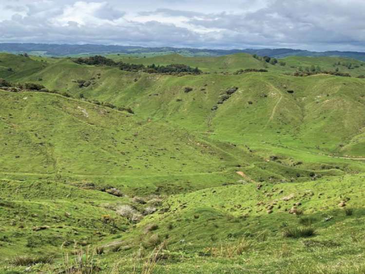 592 Waitewhena Road Ohura_12