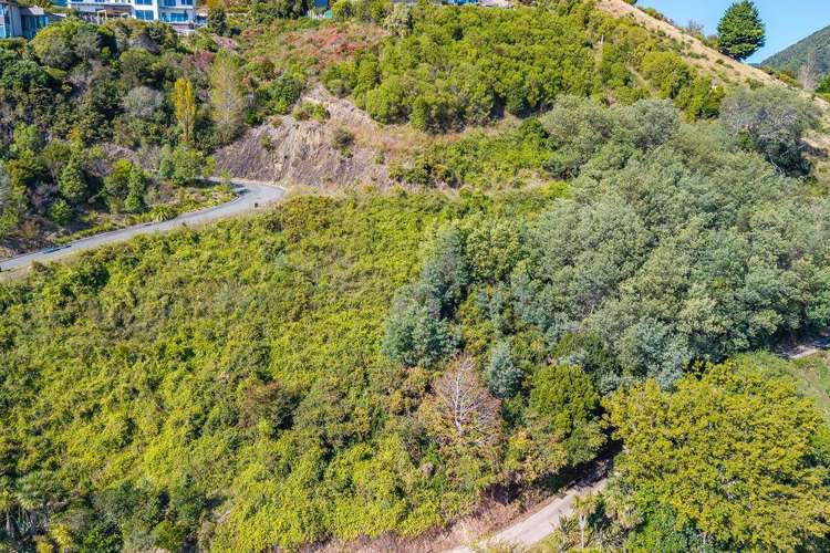 2 City Heights Maitai_8