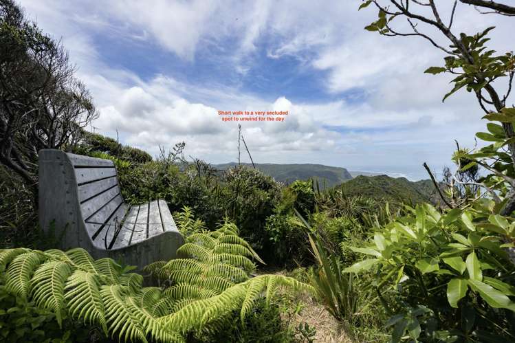16 Log Race Road Piha_13