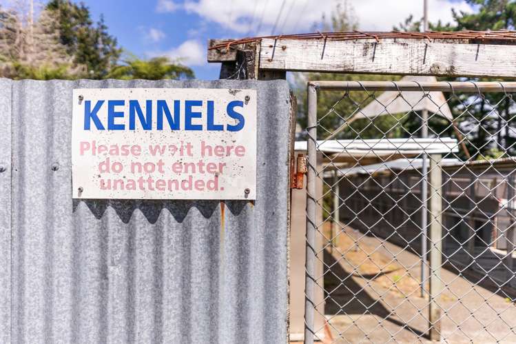 2C Kaitoke Loop Road Kaitoke_23