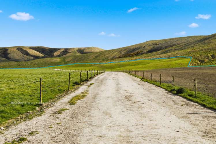 2/1389 Taharua Road Rangitaiki_12