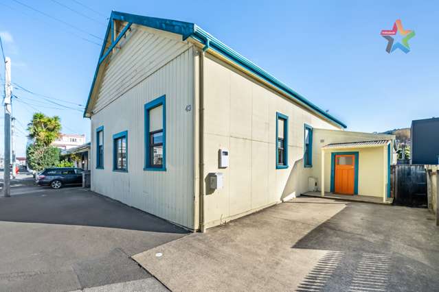 43 Sydney Street Petone_2