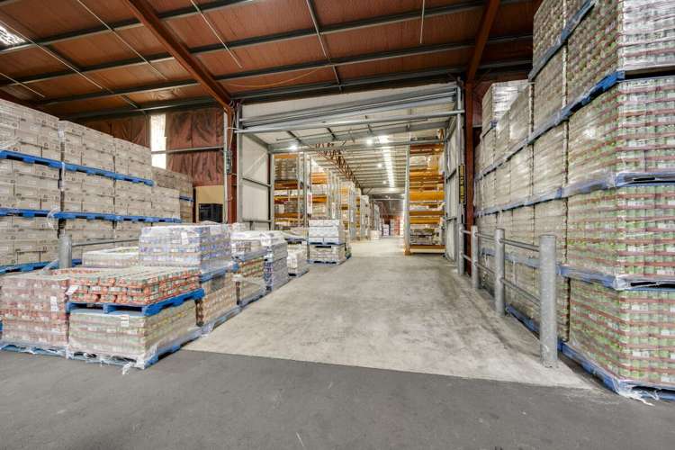 113 Elwood Road Tomoana_7