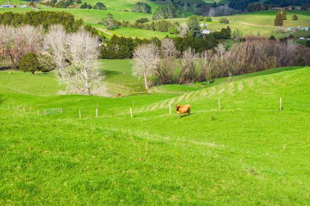 Lots 2 and 5 Leslie Road Maungakaramea_2