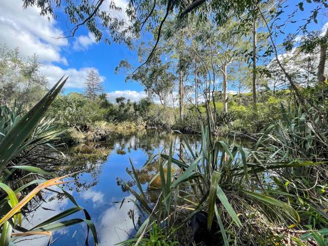 108 Waimate North Road Kerikeri_4