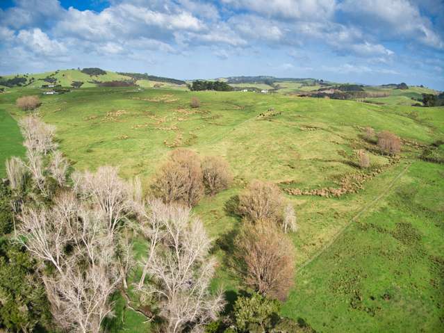 210d Pukenui Road Kaiwaka_2