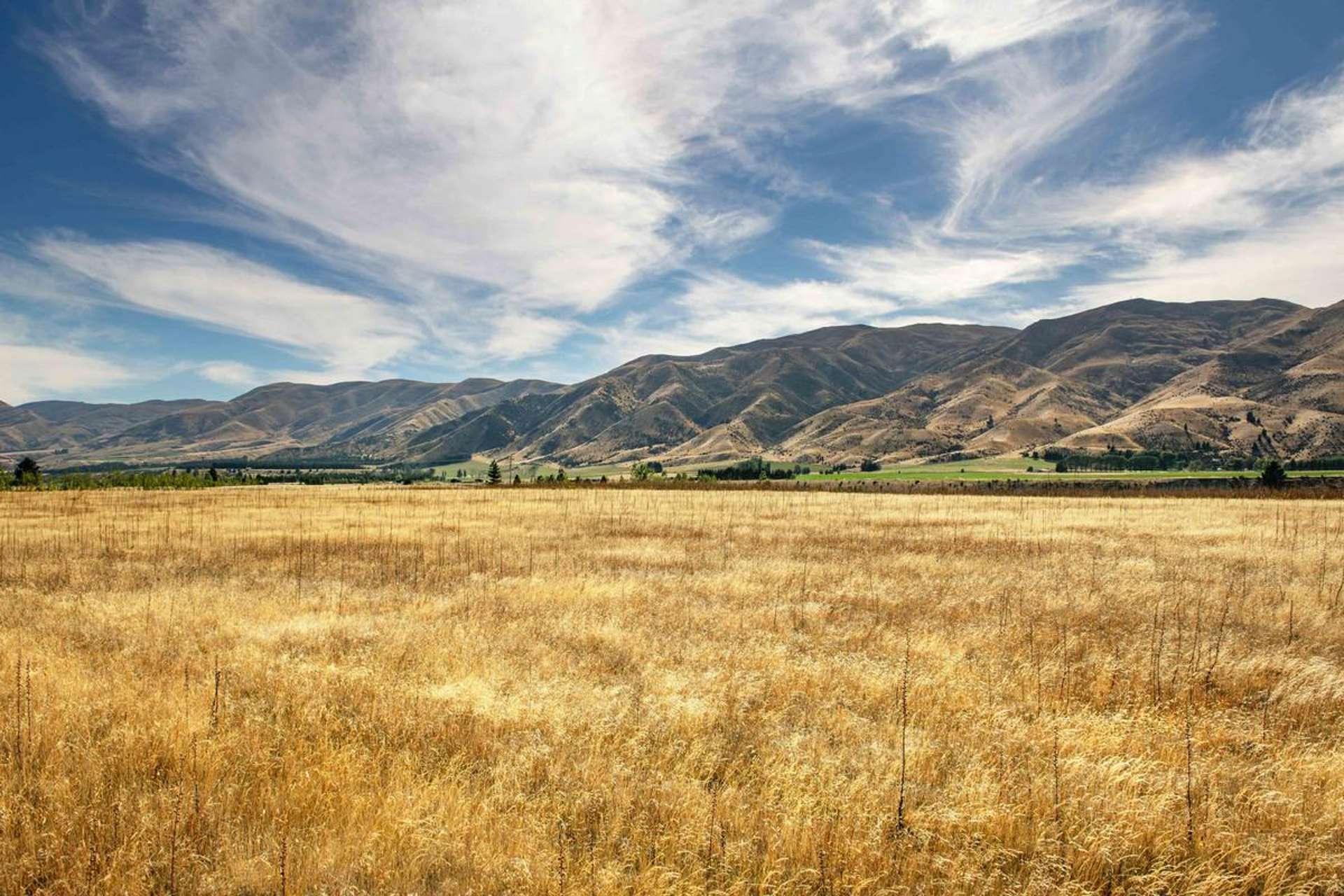 3166 Luggate-Cromwell Road Queensberry_0