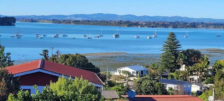 53 Coppelia Avenue Omokoroa_2