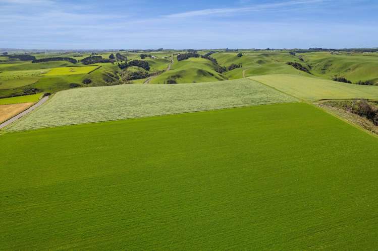 0n Mountain Road Normanby_17