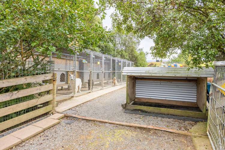 88 Scott Rd Te Awamutu_28