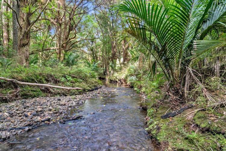 OWHIWA ROAD ONERAHI_1