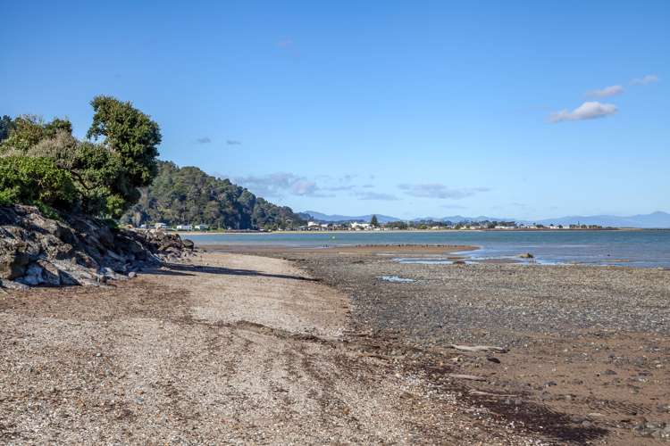 109 Robert Street Thames_17