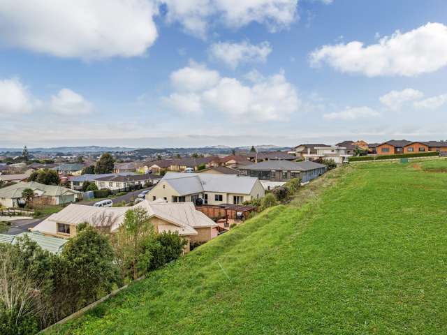 29 Catherine Mclean Road Pukekohe_2