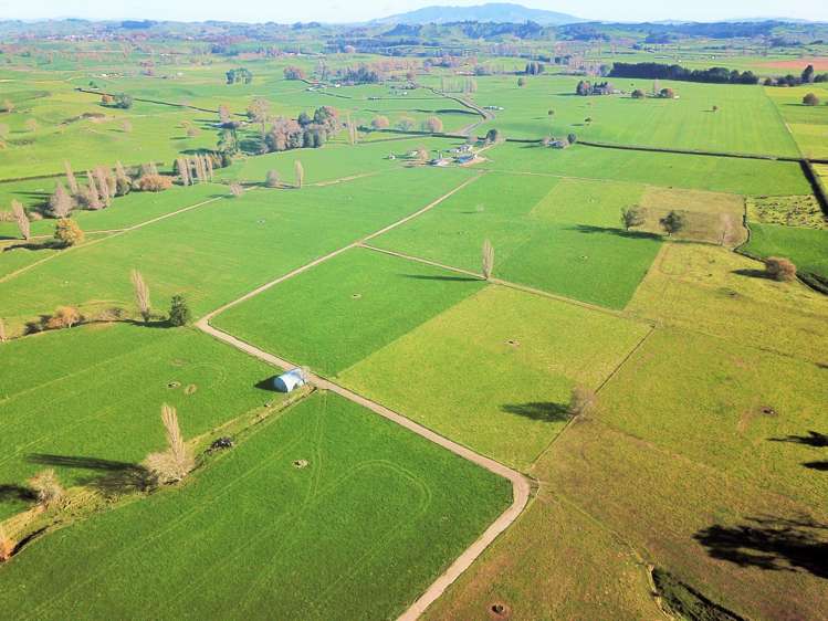 240 Bayly Road South Waikato_21