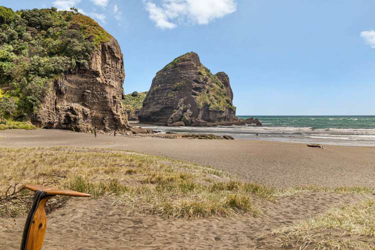 5 Sylvan Glade Piha_15