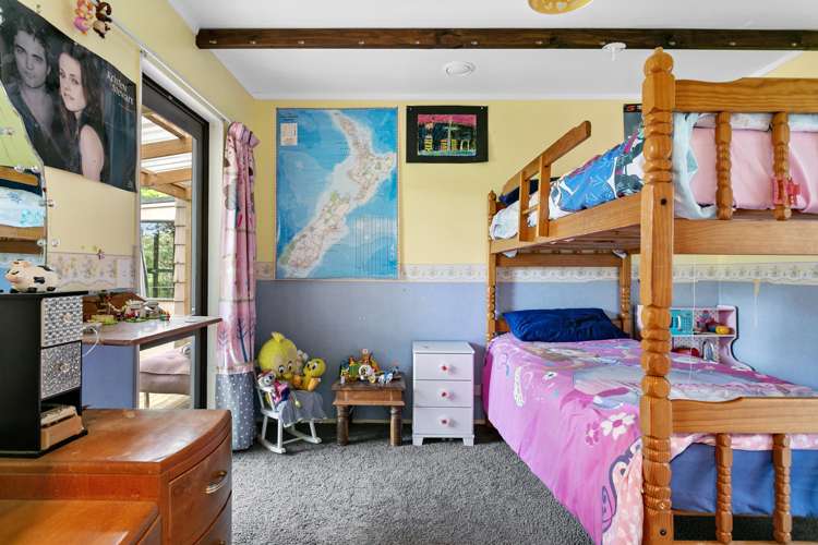 250 Link Road Wairakei and Surrounds_22