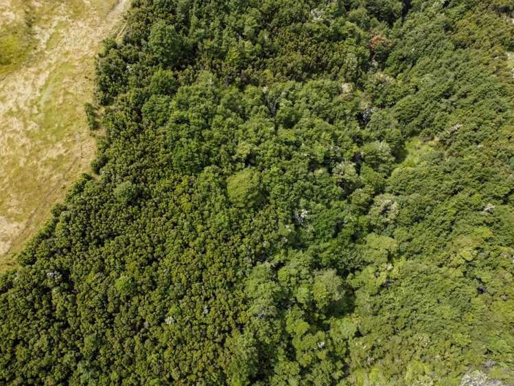 32 and 33 Charwell Terrace Mt Lyford Hurunui Rural Property For