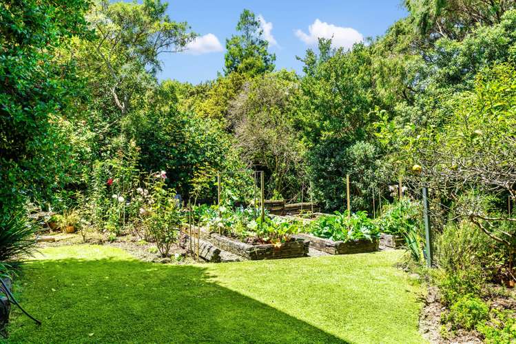 7 Helvetia Drive Browns Bay_23