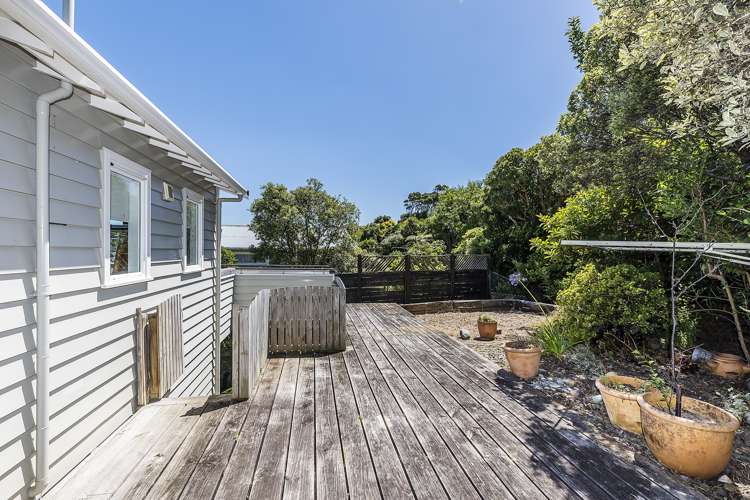 41 Awa Road Miramar_12