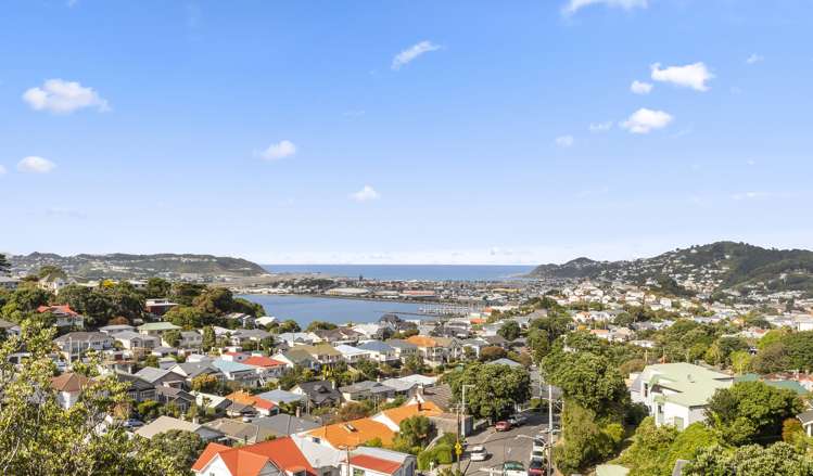 10 Rakau Road Hataitai_18