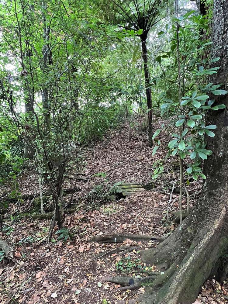 17 Exeter Place Tihiotonga_11