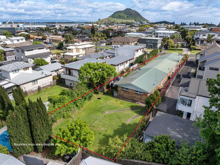 22 Terrace Avenue Mt Maunganui_19