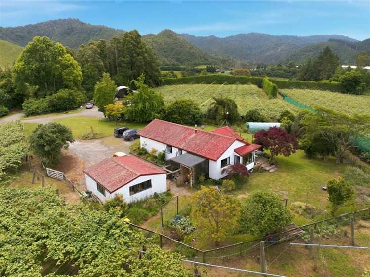 1399A No. 3 Road Te Puke_4