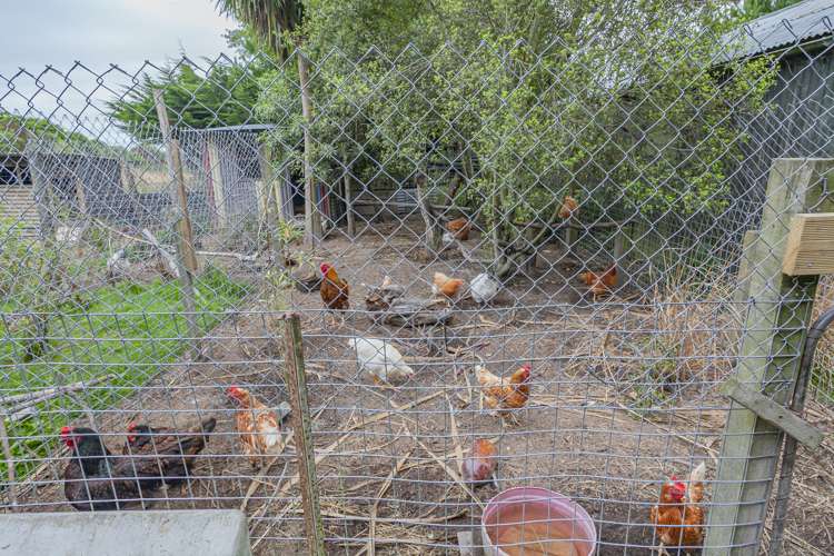 145 Adair Road Adair_23