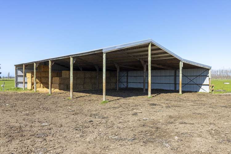 94 Brogdens Road Lowcliffe_17