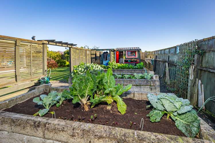 68a Mako Mako Road Levin_12