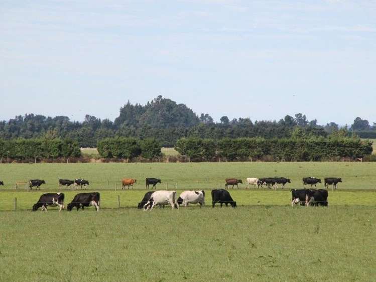 149 Mclennans Bush Road Methven_23