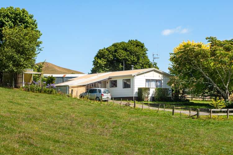 390 Parapara Road Tirau_13