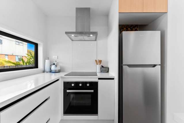 10 Clay Works Lane New Lynn_4