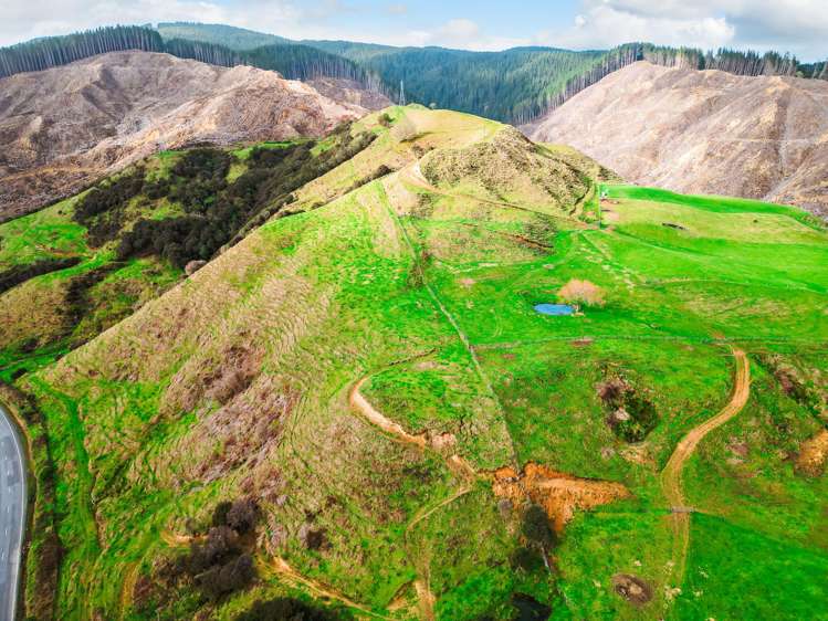 3789 State Highway 4 Ongarue_29