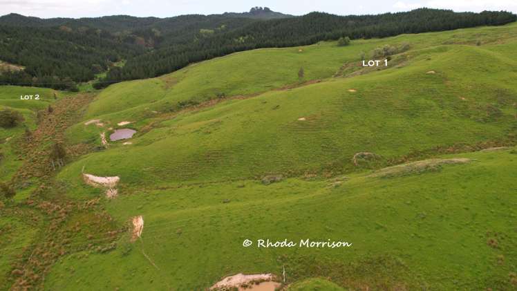 Golden Stairs Rd Maungaturoto_21