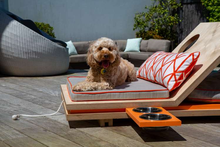 259 Ponsonby Road Ponsonby_1