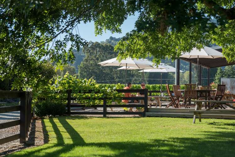 1469 Motueka Valley Highway Ngatimoti_12