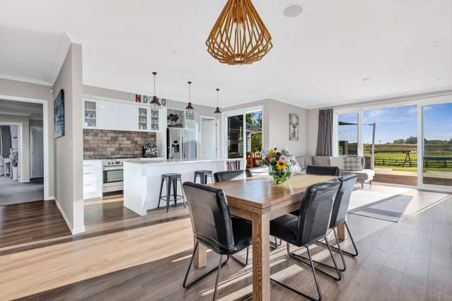 235 Hiwi Road Tauwhare_4