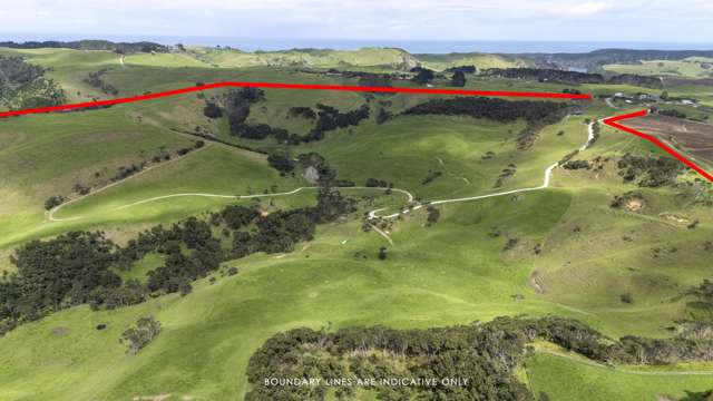 147 Fuller Road, South Head Helensville_3