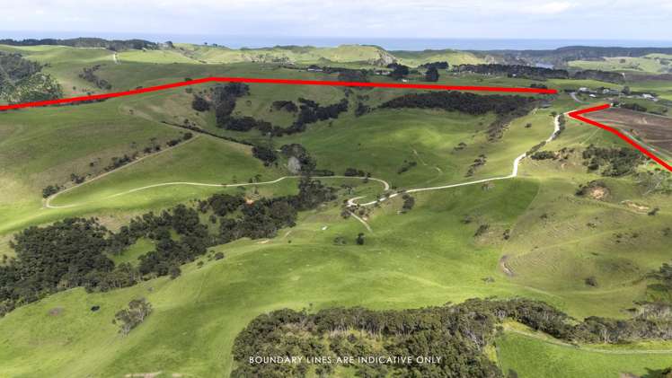 147 Fuller Road, South Head Helensville_3