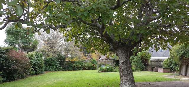 17 Nikau Grove Woburn_1