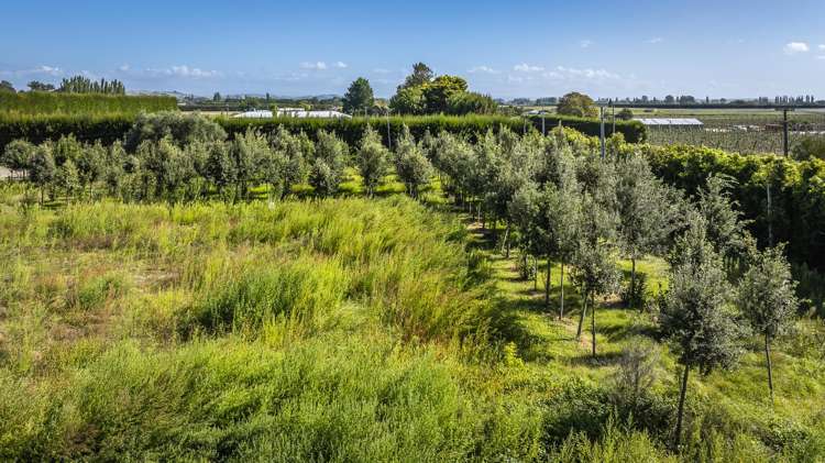 1778 Pakowhai Road Pakowhai_16