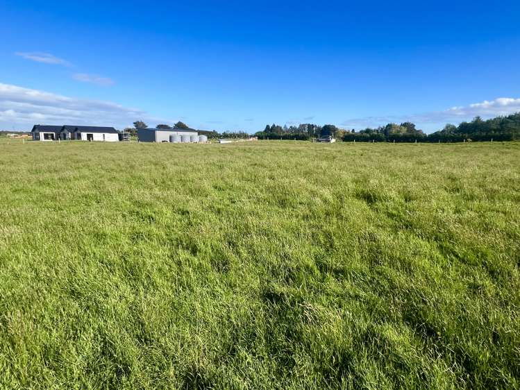 5 Ackers Road New River Ferry_16