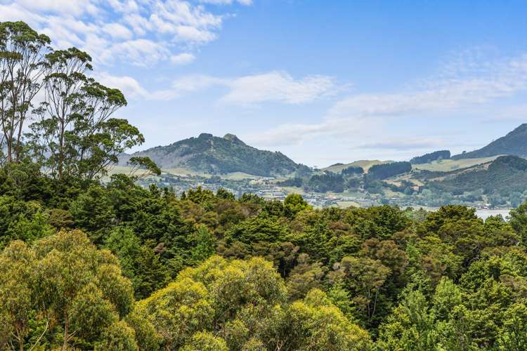 111 Te Rongo Road Parua Bay_11