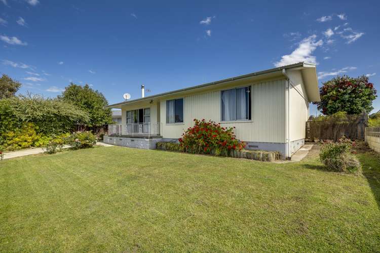 5 Plunket Street Tamatea_8