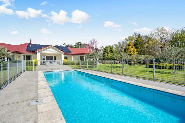 37 North Street Greytown_29