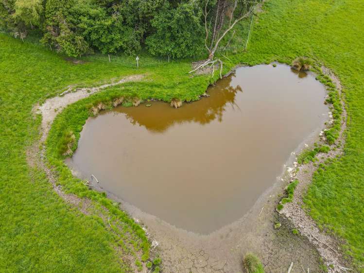 217 Taylor Road Makarewa_6