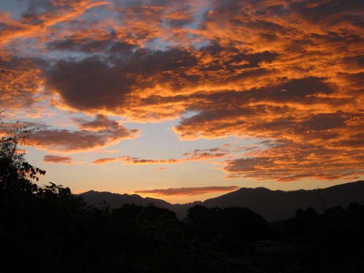 25 Bay Vista Drive Kahurangi National Park_18