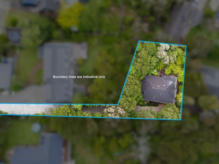 147b Colwill Road Massey_30